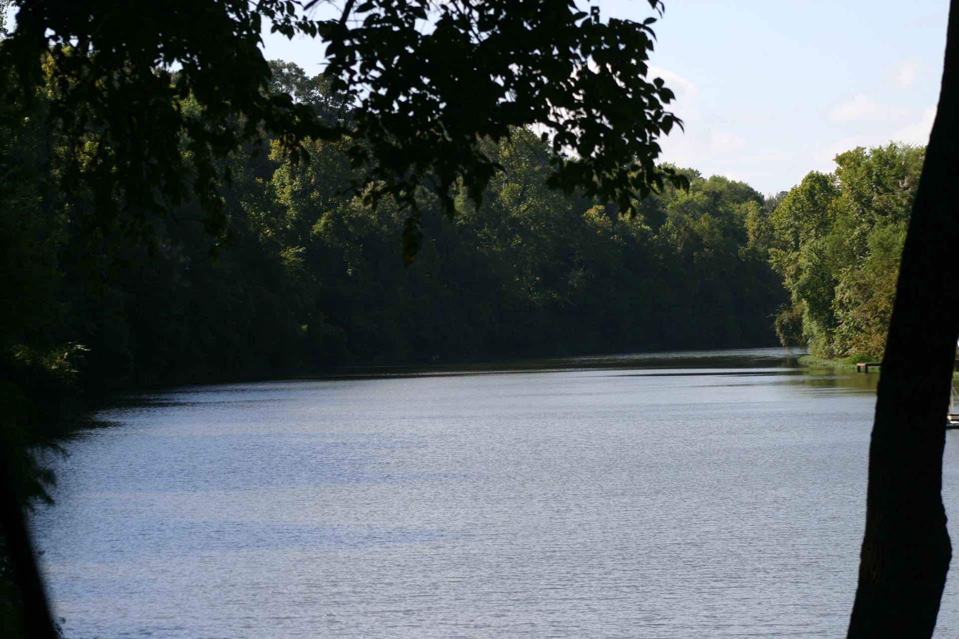 River with Trees on the Banks